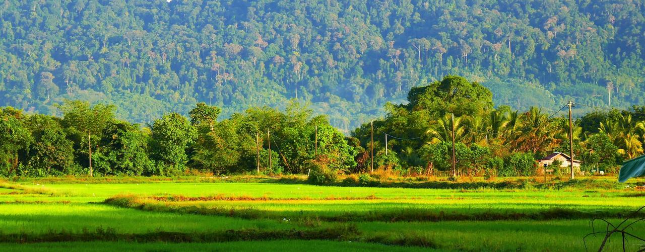 The Chabang Langkawi Villa Ngoại thất bức ảnh